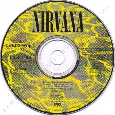 SMELLS LIKE TEEN SPIRIT