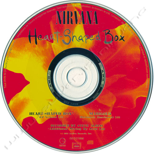 HEART-SHAPED BOX