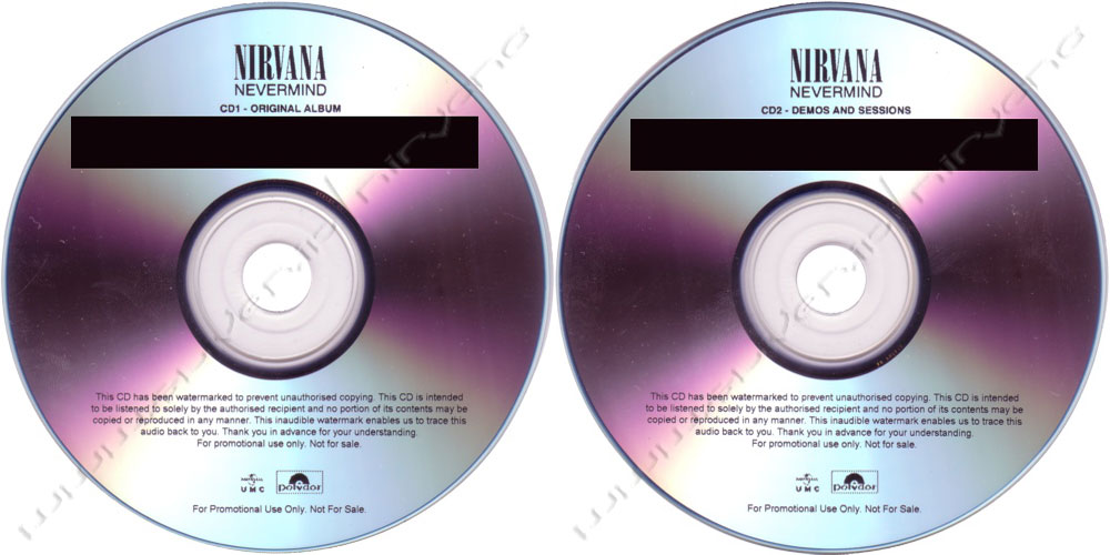 NIRVANA/NEVERMIND20周年盤SuperDeluxeEdition 51d4M8ZwOdL._SL500_.jpg